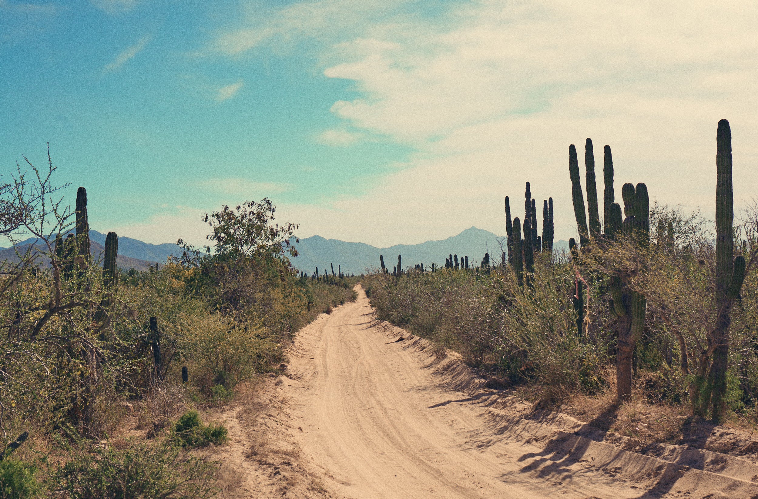MABE - SHOOTS: Baja California - Behind The Scenes