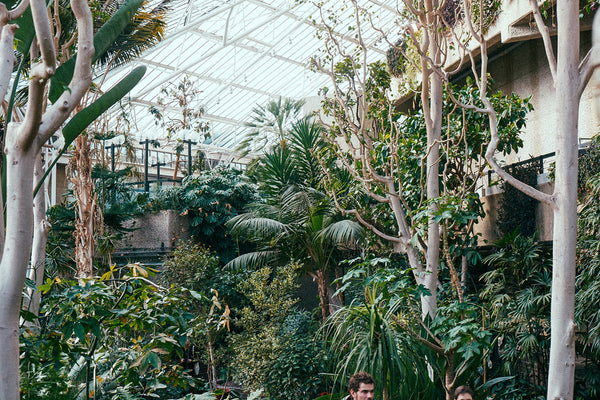 MABE - PLACES: The Barbican Conservatory